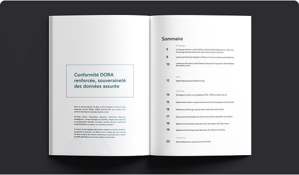 Image sommaire eBook - Conformité DORA et souveraineté numérique dans la finance