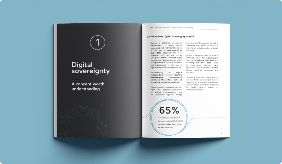 Picture, Page ebook - CIOs, CISOs How to make digital sovereignty a shield for your sensitive data